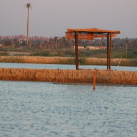 Kom El Dikka Agri Lodge ‘Izbat an Nāmūs Kültér fotó