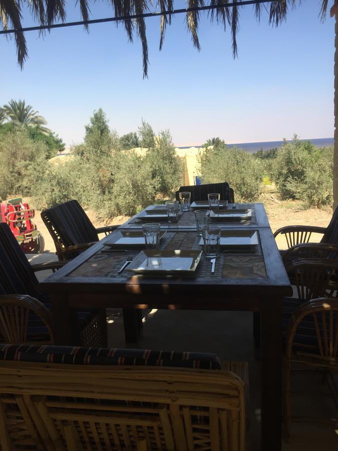 Kom El Dikka Agri Lodge ‘Izbat an Nāmūs Kültér fotó