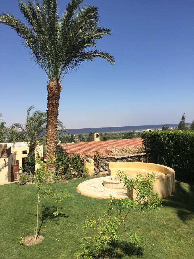 Kom El Dikka Agri Lodge ‘Izbat an Nāmūs Kültér fotó